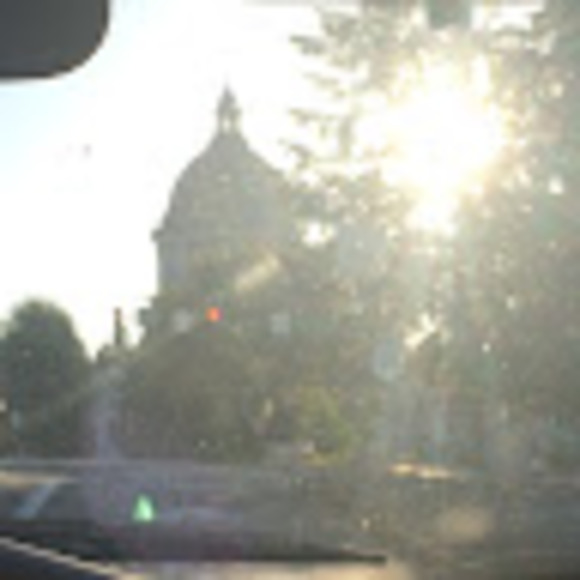 Meet your Posher, Maeve - Picture 1 of 1